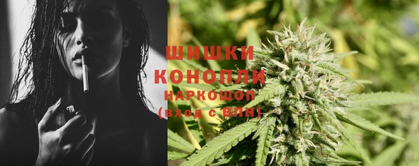 ГАЛЛЮЦИНОГЕННЫЕ ГРИБЫ Абаза