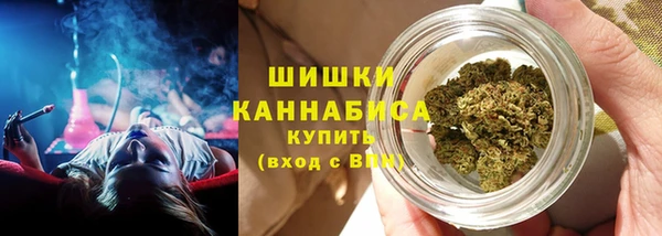 шишки Алексин