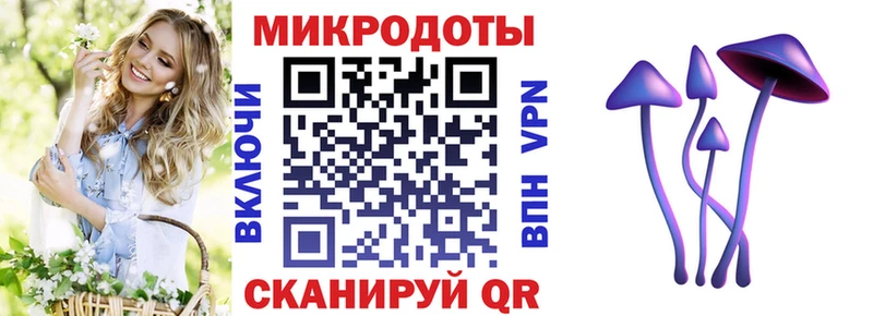 где купить наркотик  Норильск  Галлюциногенные грибы прущие грибы 