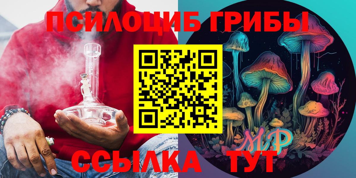Галлюциногенные грибы Psilocybe  Вход с VPN  где купить наркотик  Норильск 